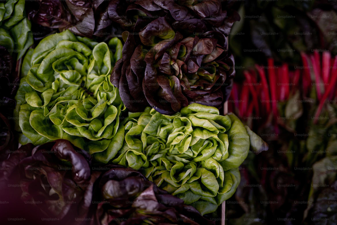 Chemicals in Our Environment Making Us Fat? Hada Cosmetic Medicine